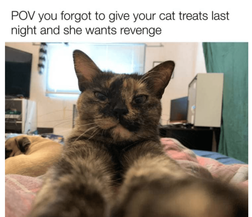 pov pov