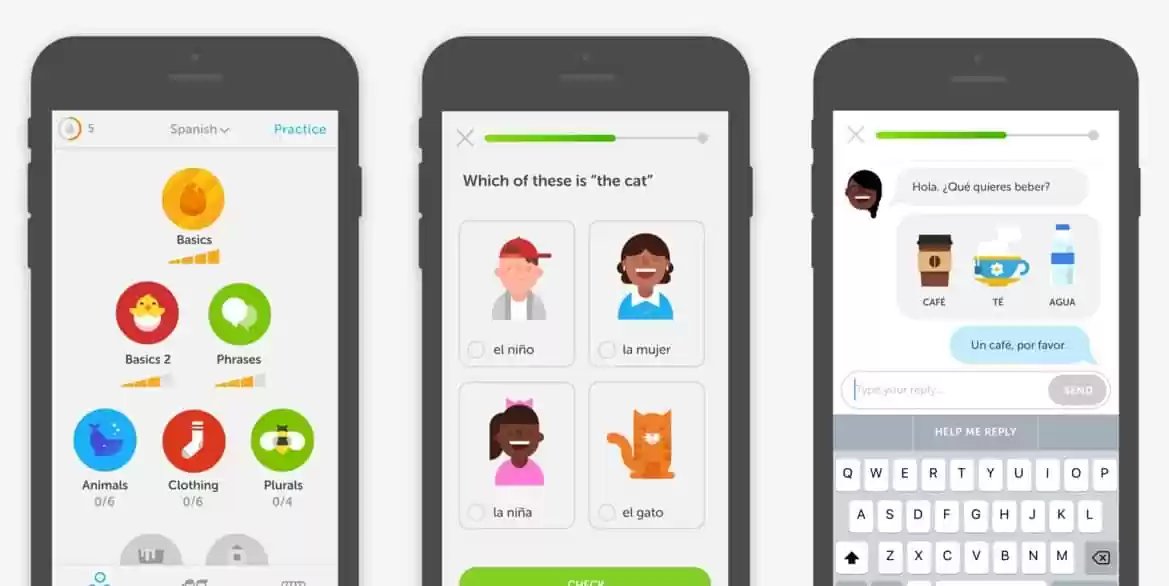 duolingo duolingo