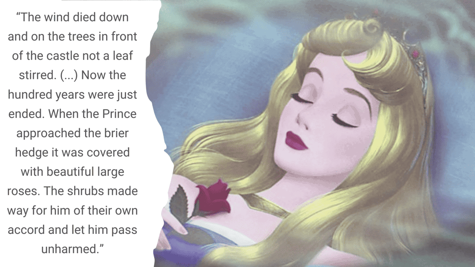 Sleeping Beauty Sleeping Beauty