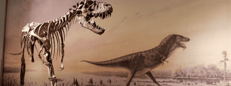 Discovering Dinosaur Land Discovering Dinosaur Land