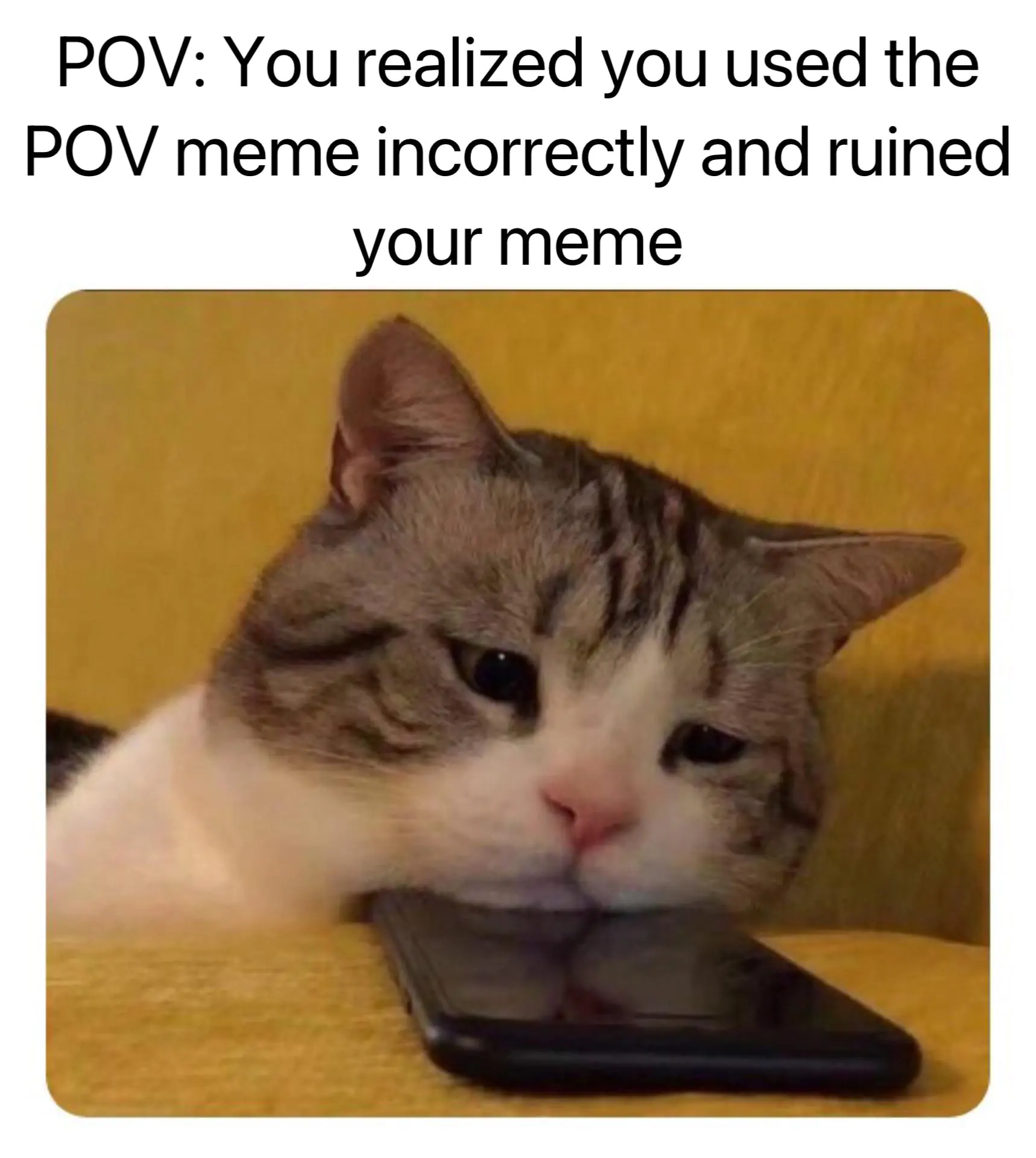 pov memes pov memes